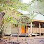 Llaima Camp