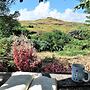 Mountain Oasis Farm Stay