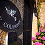 Chateau Le Colombier - Chambres d'hôtes