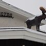 Big Moose Hotel