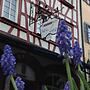 Marktplatzhotel - Restaurant Tafelspitz