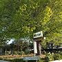 Holbrook SKYE Motel