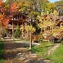 Ryabinovie Busy Guest House