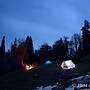 Wilderness Home Jibhi