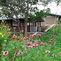 Mount K Resort - Hostel