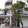 B&B Villa il Glicine