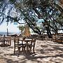 Cemara Beachfront Suite