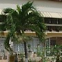 Dream Vacation ST Catherine Jamaica