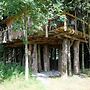 Cabane dans les Arbres - Tree House