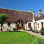 Le Tulipier de Virginie