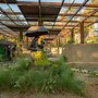 Siri Nature Roost