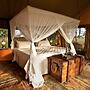 Acacia Tarangire Luxury Camp