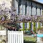 Chambres & Table d'hotes de Massigoux