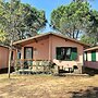Greenchalets Toskana Viareggio - Campsite