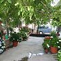 Hostal Las Terrazas de la Alpujarra