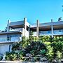 Hollywood Tree House