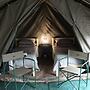 Kruger Park Tours