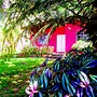 Pink house