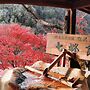 Shiozawa Onsen Shichihokan