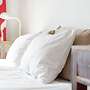 Hostel Buisto