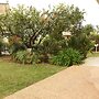 The Garden Apartment
