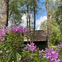 Burnbank Lodges
