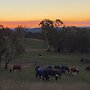 High Country Trail Rides & Farm Stay