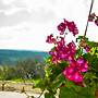 Erigone Cottage - Beautiful Ambiance
