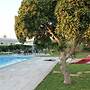 B&B Agrumeto