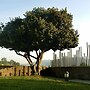 Quinta das Lavandeiras - Caldas de Vizela