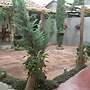 Marquesote Hostel