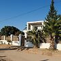 Dar Arous