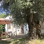 Masseria Pietro