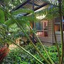 Chambers Wildlife Rainforest Lodges