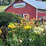 Rainbow Ridge Farms Bed and Breakfast Onalaska/La Crosse