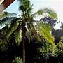 Bamboo Valley Inn