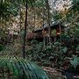 Narrows Escape Rainforest Retreat