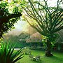 Spice Village - Cgh Earth