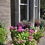 Highfield Guest House