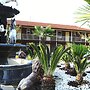 Savannah Inn and Suites