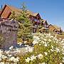 Whispering Pines