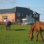 Springwood B&B