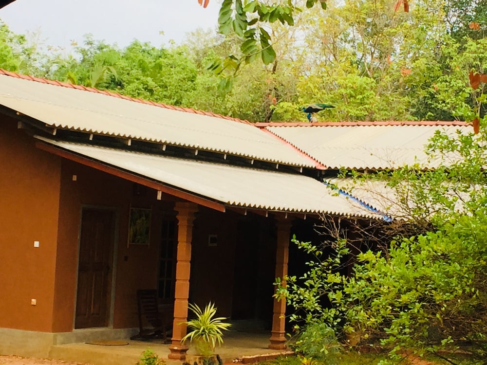 Jaye Eco Lodge