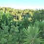 Apartamentos Les Moreres
