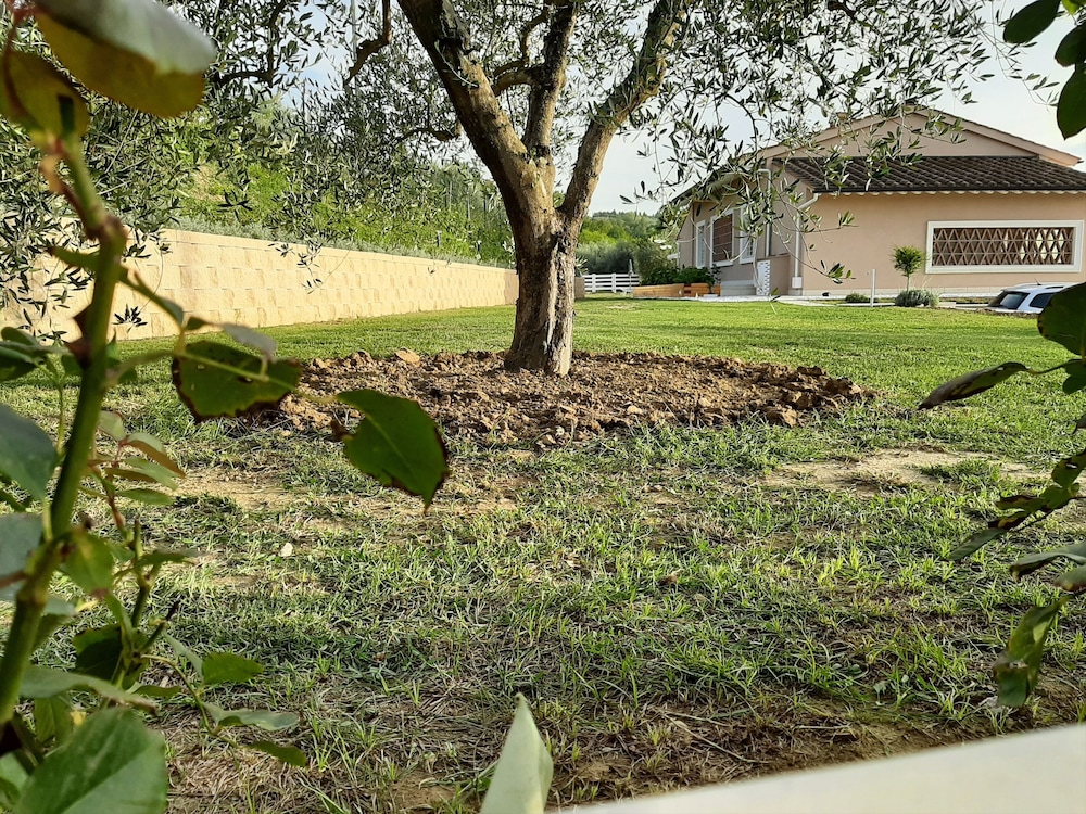 Le Mammole