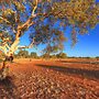 Halls Creek Motel