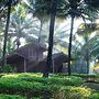 Shantai by the lake