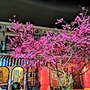 Sanyi House