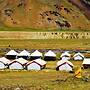 Marmote Camps - Sarchu