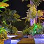Hotel Mi Linda Tierra